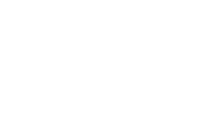 РАНХиГС — Президентская академия